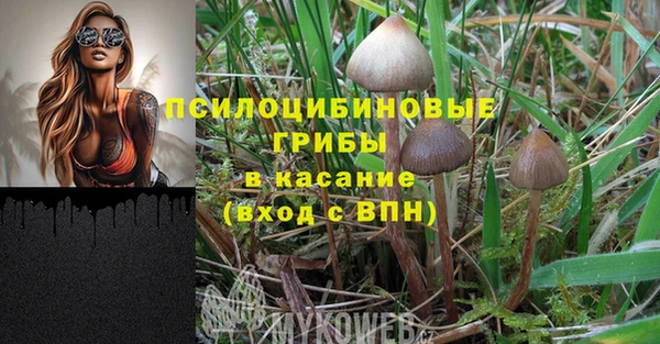 гидропоника Алексеевка