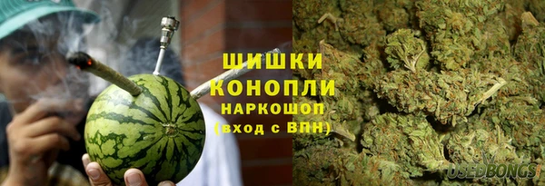 шишки Алексин
