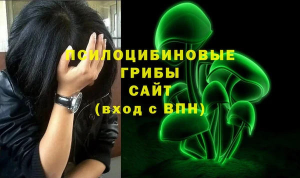 гидропоника Алексеевка