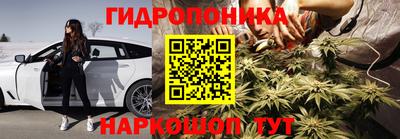 эйфоретик Обь