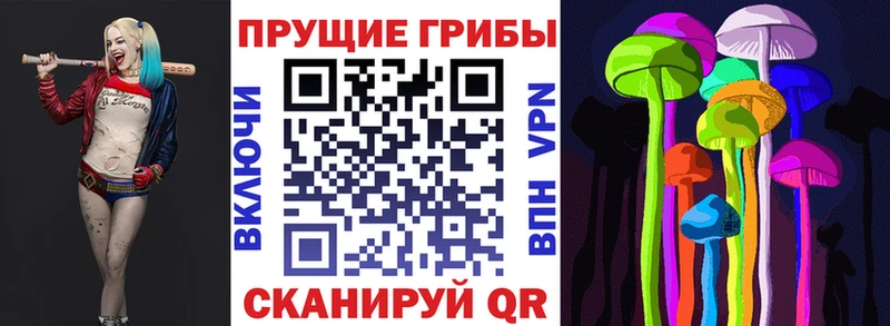 закладка  Шатура  блэк спрут ссылки  Псилоцибиновые грибы ЛСД 