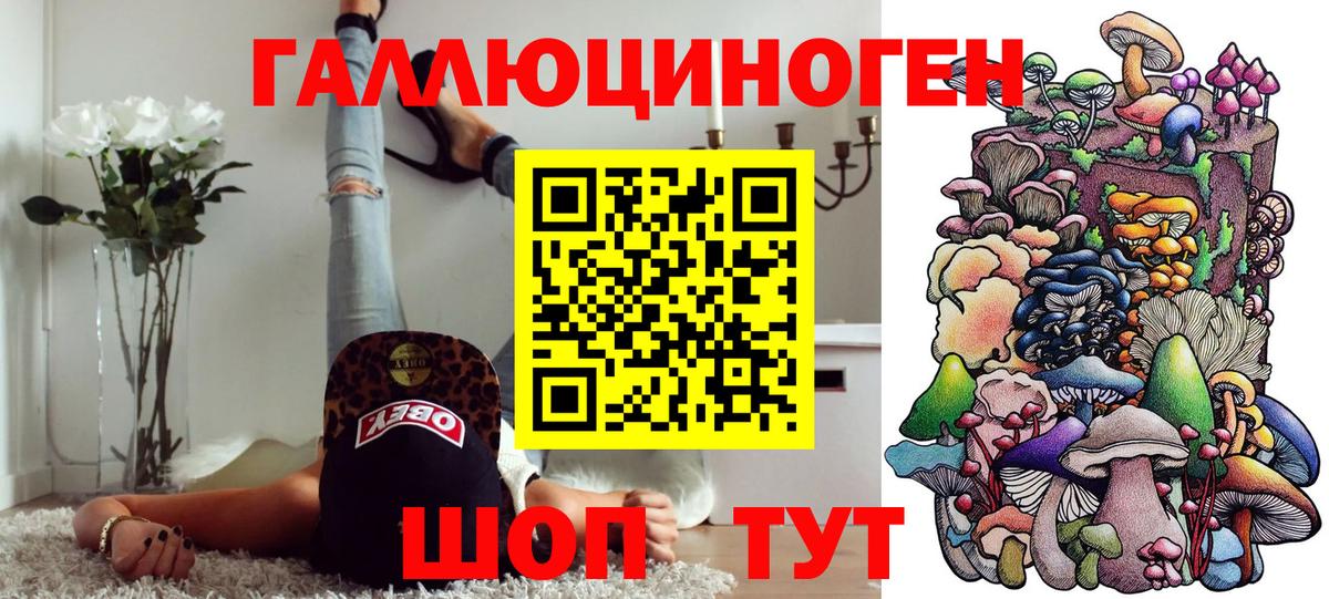 Псилоцибиновые грибы Psilocybe  Вход с VPN  Псилоцибиновые грибы MAGIC MUSHROOMS  Шатура 