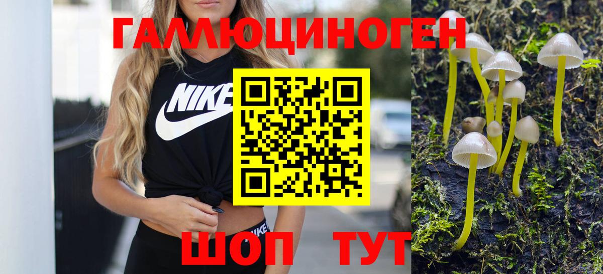 Галлюциногенные грибы Psilocybine cubensis Шатура